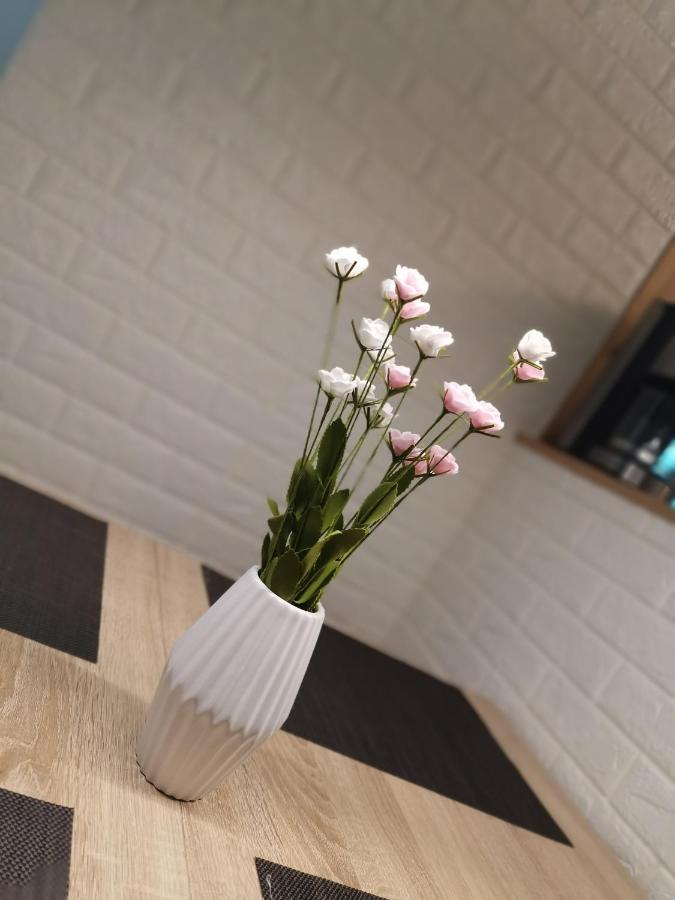 רוסט Ferienwohnung Jasmin מראה חיצוני תמונה